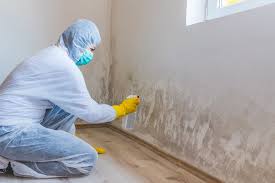 Best Mold Remediation for Healthcare Facilities  in Arta, CA