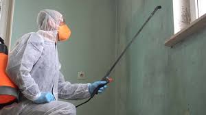 Why You Should Choose Our Mold Remediation Services in Arcata, CA