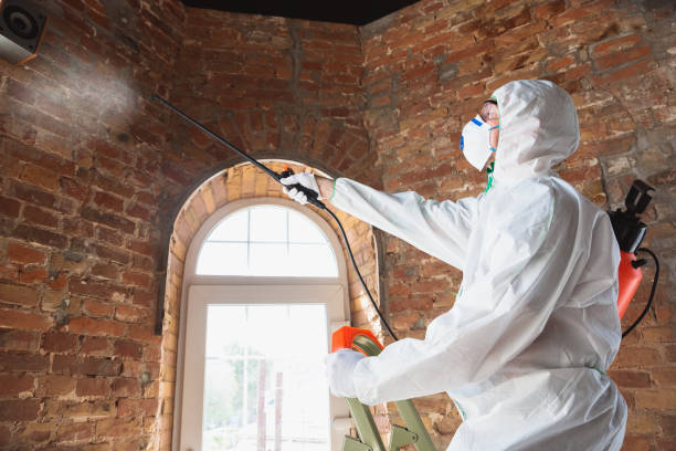 Best Biohazard Mold Removal  in Arta, CA