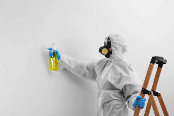 Best Residential Mold Inspection & Testing  in Arta, CA