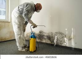 Best Mold Remediation for Healthcare Facilities  in Arta, CA